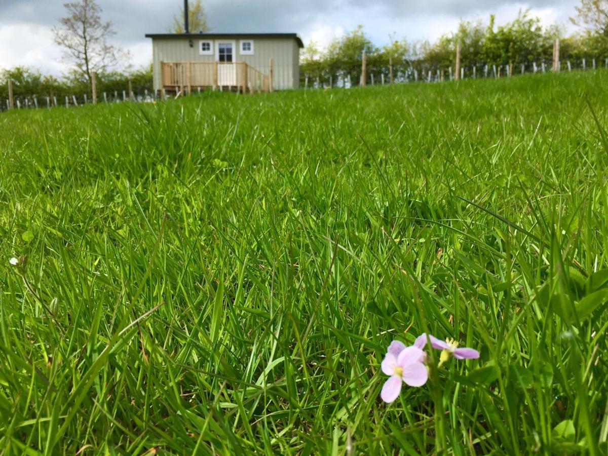 Rosemary Shepherds Hut, Clay Bank Huts Ingleby Greenhow Exterior photo